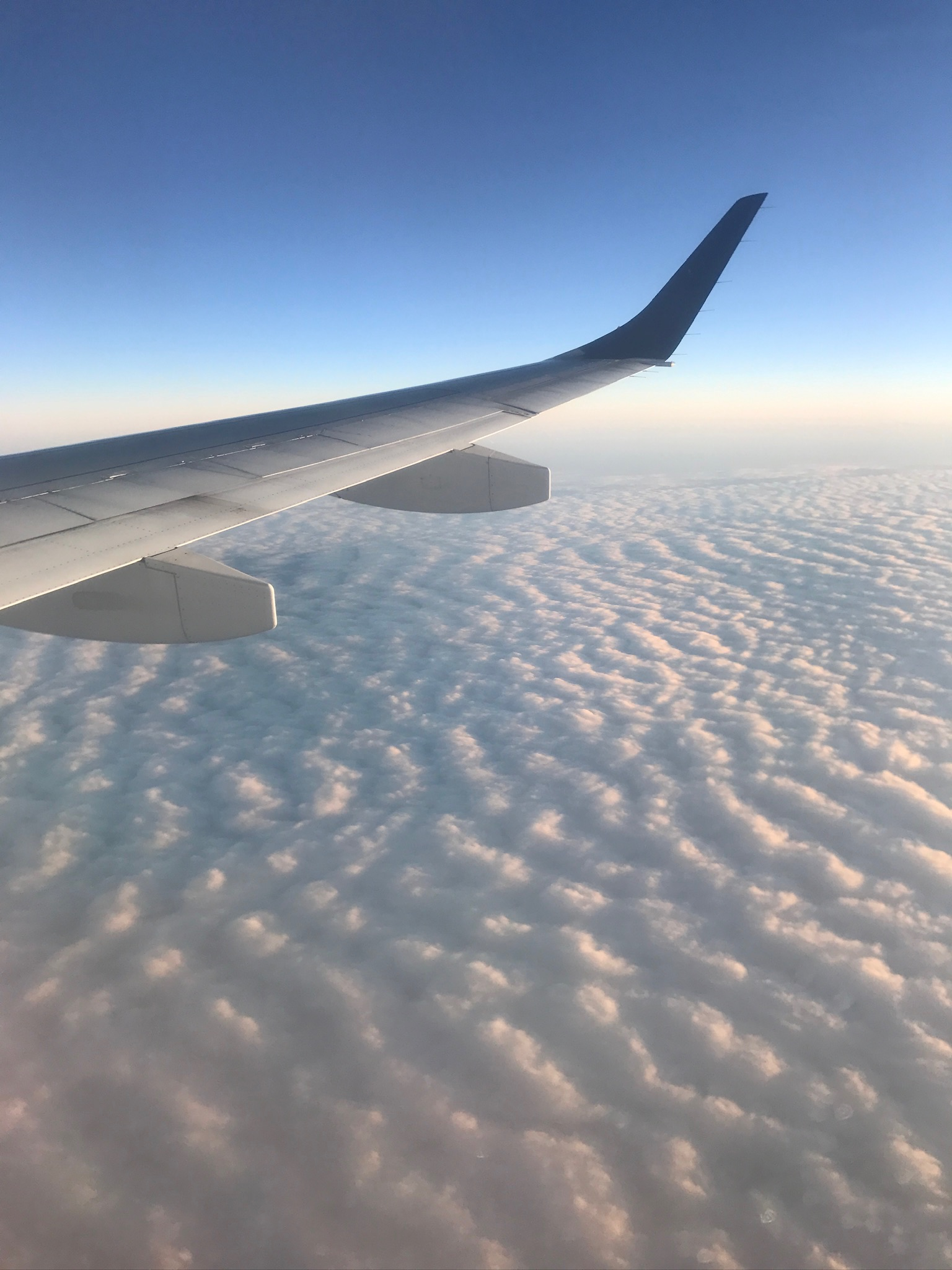 Reflections from the Road ✈️